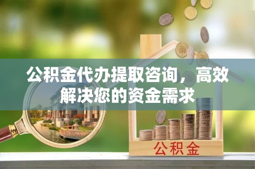 谢通门公积金代办提取咨询，高效解决您的资金需求