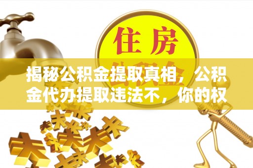 谢通门揭秘公积金提取真相，公积金代办提取违法不，你的权益如何保障？