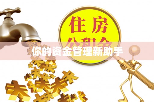 谢通门你的资金管理新助手