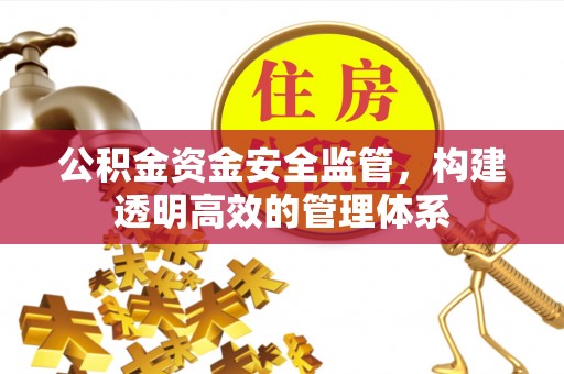 谢通门公积金资金安全监管，构建透明高效的管理体系