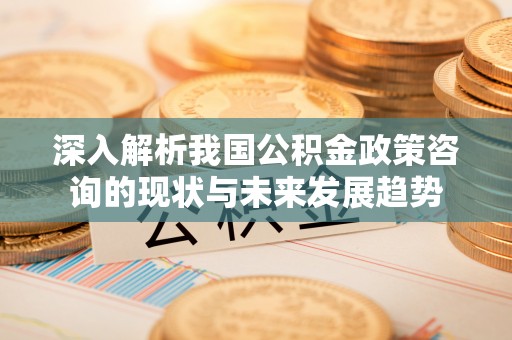 谢通门深入解析我国公积金政策咨询的现状与未来发展趋势