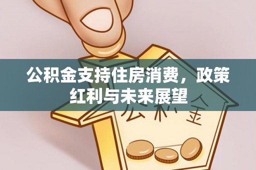 谢通门公积金支持住房消费，政策红利与未来展望