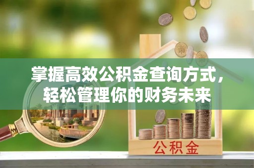 谢通门掌握高效公积金查询方式，轻松管理你的财务未来