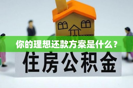 谢通门你的理想还款方案是什么？
