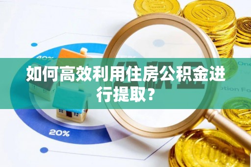 谢通门如何高效利用住房公积金进行提取？