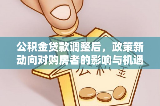 谢通门公积金贷款调整后，政策新动向对购房者的影响与机遇